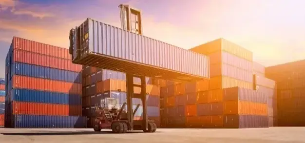 Establishing importation and exportation companies in the light of the new import and export rules