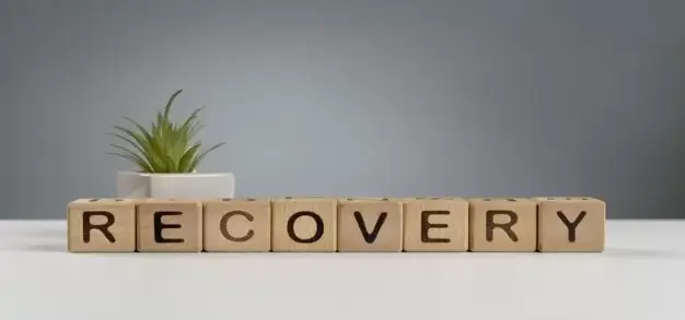 Debt Recovery Agency in Egypt