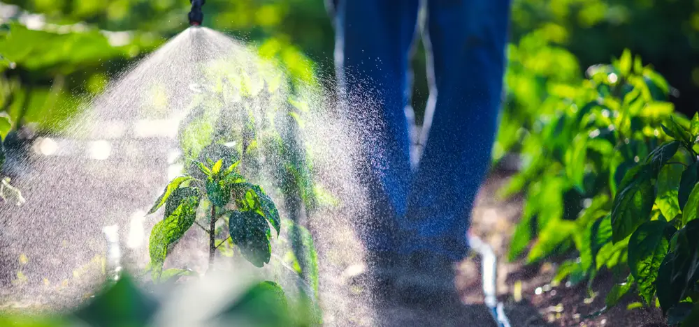 How to Obtain Agricultural Pesticides Import License?