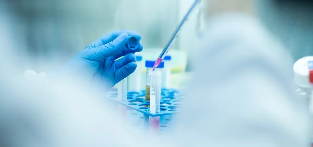 How to Obtain Pharmaceutical Licensing in Egypt?