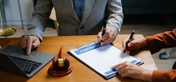 Business License Lawyer in Egypt: Sadany & Partners Law Firm