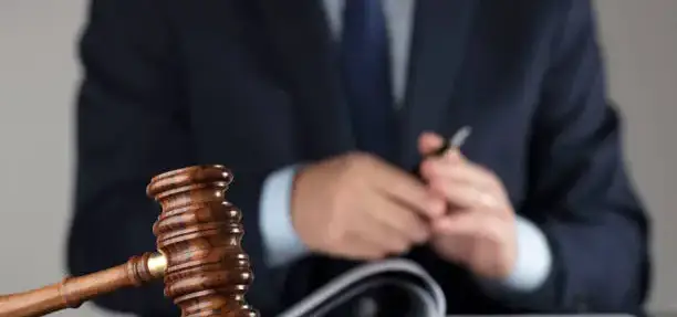 Company Incorporation Lawyer in Egypt 2025: Sadany & Partners Law Firm