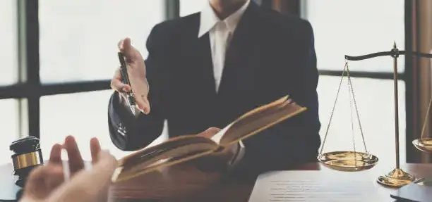 Expert Business Setup Consultant in Egypt: Sadany & Partners Law Firm