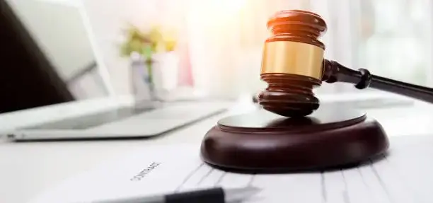 IP Litigation Services in Cairo: Sadany & Partners Law Firm
