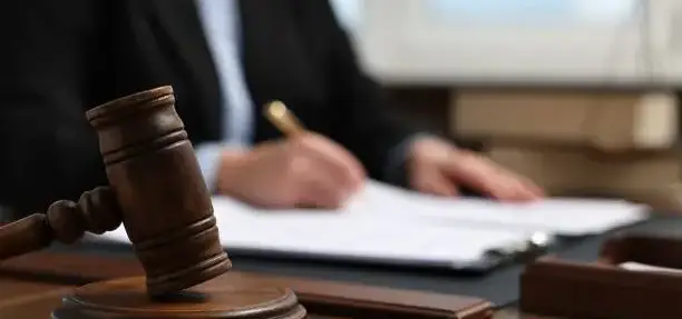 Commercial Litigation Law Firm in Egypt: Sadany & Partners Law Firm