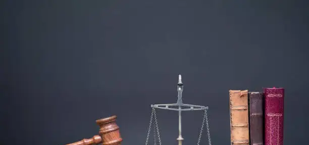 LLC Formation in Egypt 2025 | Step-by-Step Legal Guide
