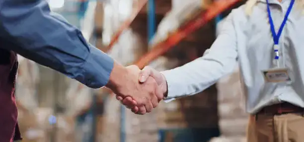 Import Company Registration Egypt 2025 | GOEIC Guide