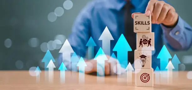 Training vs Apprenticeship Egypt | Labour Law 14 of 2025