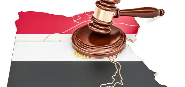 التقاضي في مصر 2026 | مؤسسة السعدني ومشاركوه