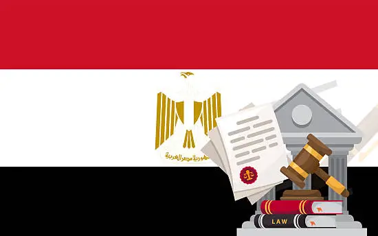 أفضل محامي تراخيص في القاهرة لعام 2026 | تأسيس الأعمال